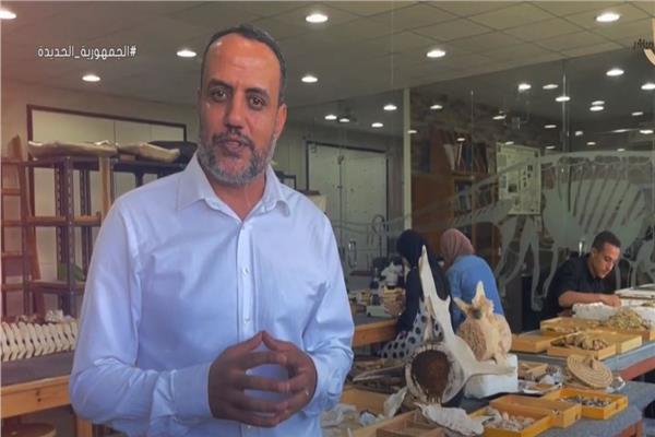الدكتور هشام سلام، مؤسس مركز الحفريات الفقارية بجامعة المنصورة