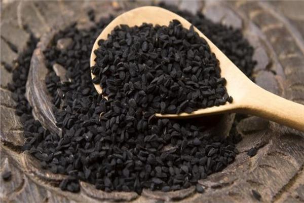  حبة البركة