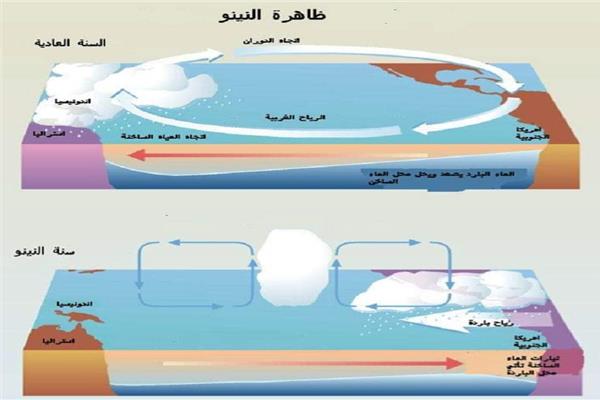 صورة موضوعية