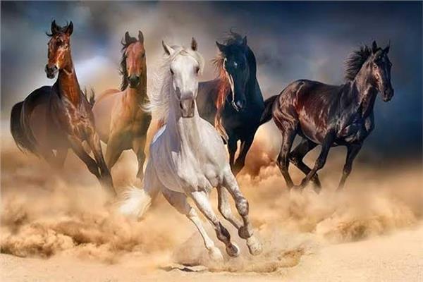 صورة ارشيفية 