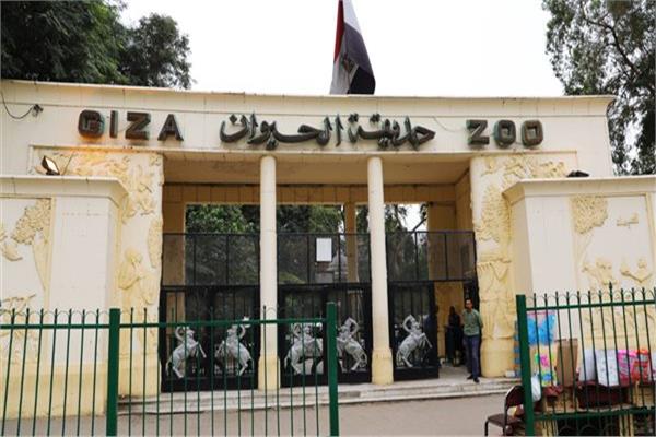 صورة موضوعية