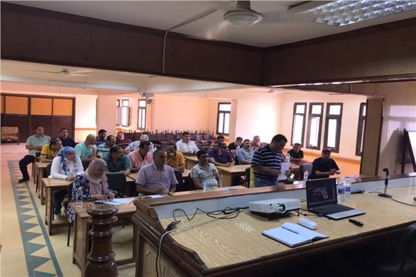 «كهرباء القناة»: تنفيذ 19 دورة تدريبية للعاملين بالشركة