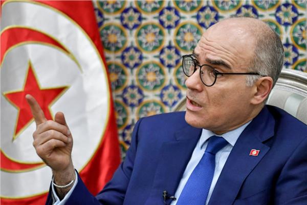 وزير الشؤون الخارجية والهجرة والتونسيين بالخارج، نبيل عمار