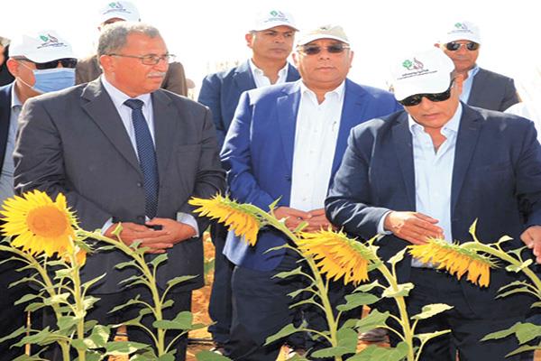 رئيس شركة الريف المصرى خلال متابعة حصاد الـ ١٫٥ مليون فدان