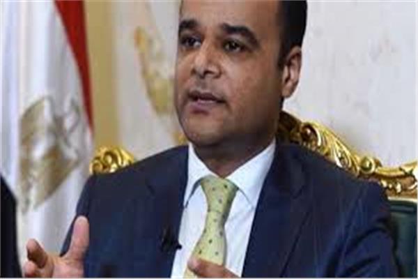 السفير نادر سعد، المتحدث الرسمي باسم مجلس الوزراء