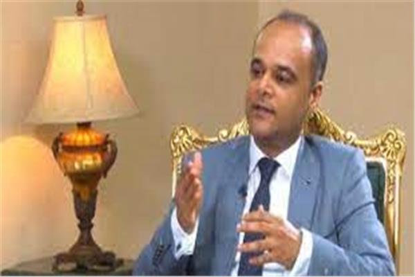 السفير نادر سعد المتحدث باسم مجلس الوزراء