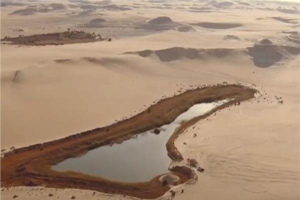صورة موضوعية