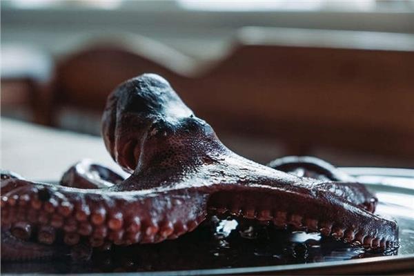 أطباء يعثرون على أخطبوط كامل في مريء رجل