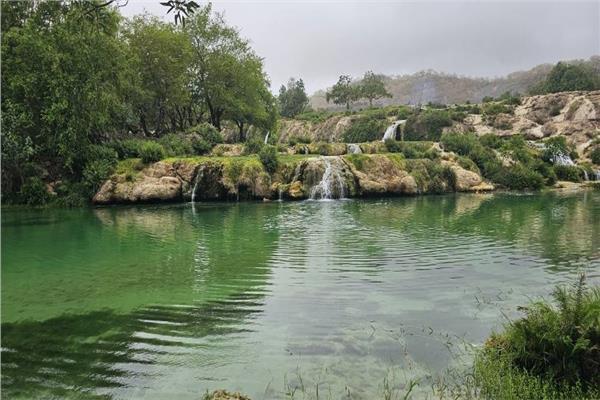 صورة موضوعية