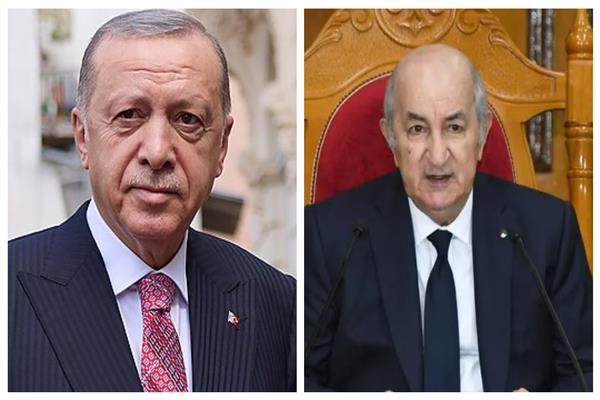 الرئيس الجزائري عبدالمجيد تبون ،رجب طيب أردوغان