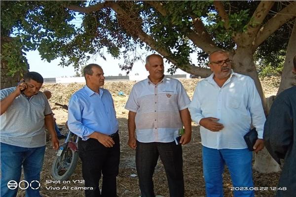 صورة موضوعية
