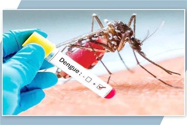البعوض الناقل للمرض - أرشيفية