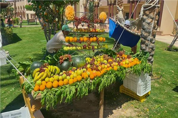 مهرجان للفواكه بالغردقة 