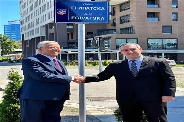 المستشار الدكتور حنفي جبالي خلال زيارته لجمهورية صربيا