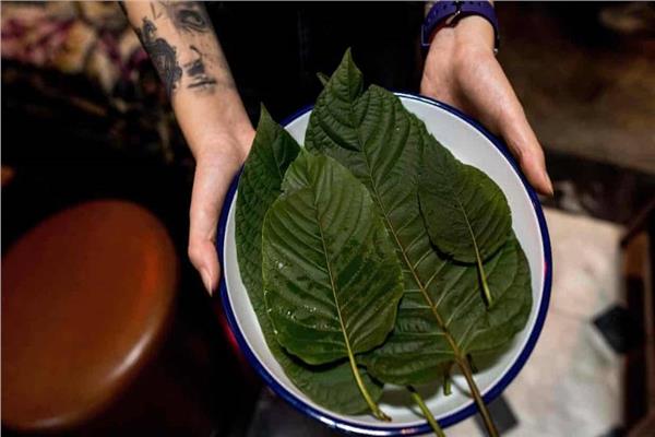 11 مليون دولار تعويض وفاة بسبب مستخلص عشبي