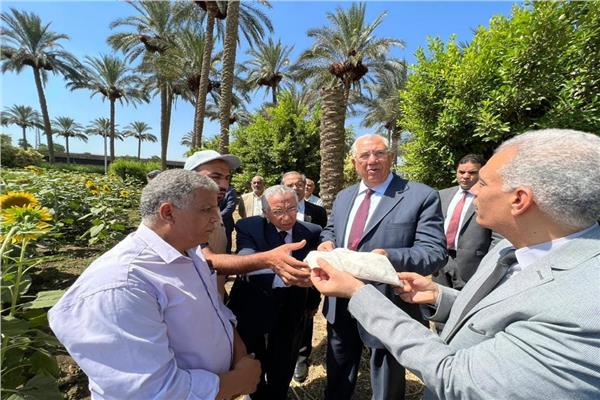صورة موضوعية للحدث