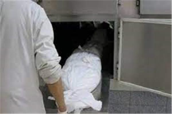 ارشيفية