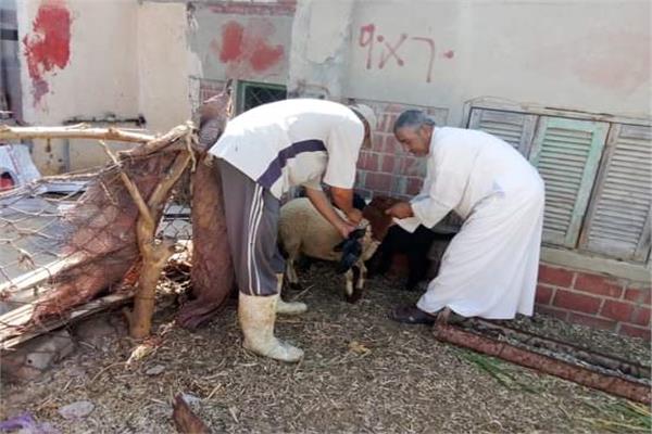 صورة موضوعية
