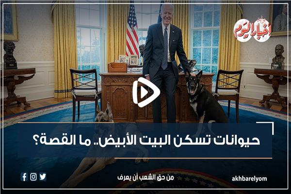 البيت الأبيض 