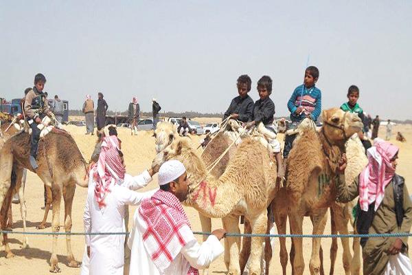 مهرجان سباقات الهجن قبلة حياة لعودة السياحة إلى العريش