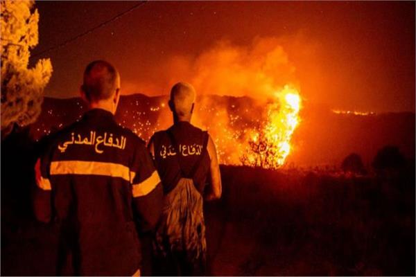 صورة أرشيفية
