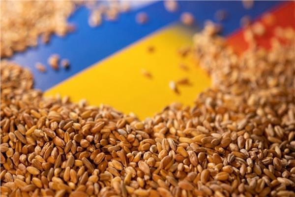 اتفاق تصدير الحبوب الأوكرانية
