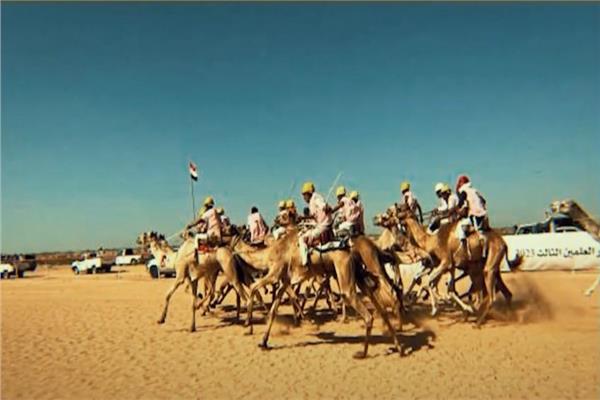 الهجن