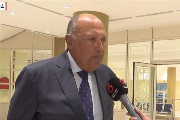 سامح شكري وزير الخارجية
