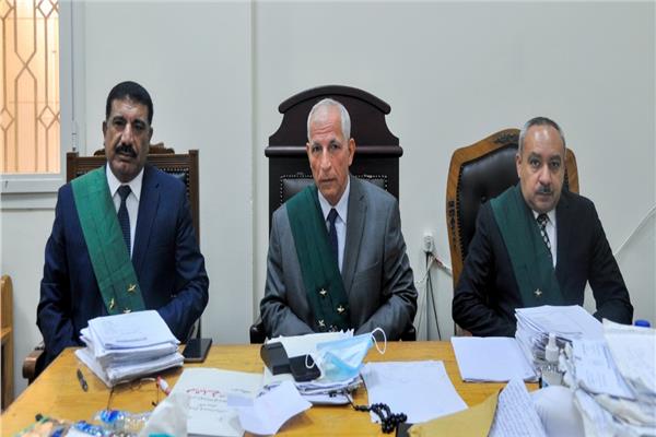 هيئة المحكمة برئاسة المستشار حمدى الشنوفى