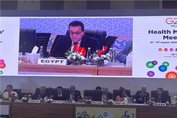 الدكتور خالد عبدالغفار  يلقى كلمته