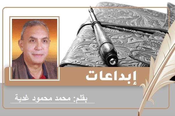 الكاتب محمد محمود غدية