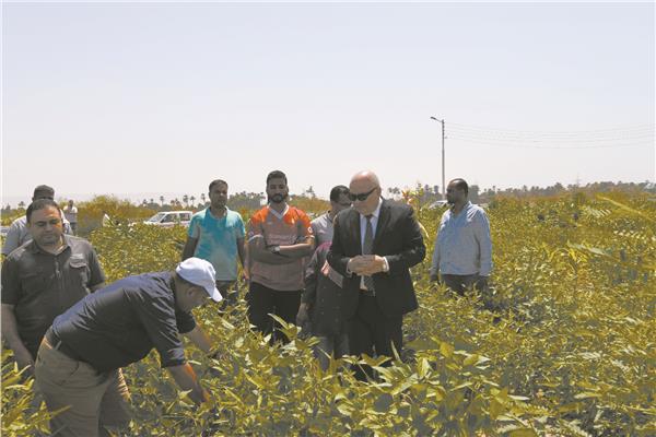 المحافظ خلال الجولة
