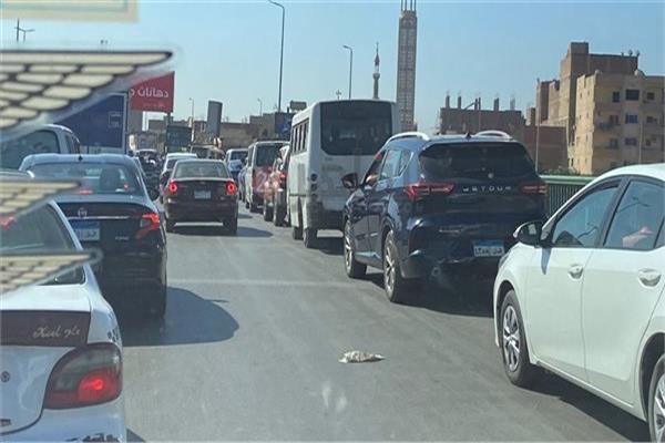صورة موضوعية
