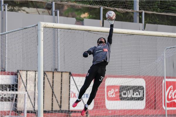 مصطفى شوبير