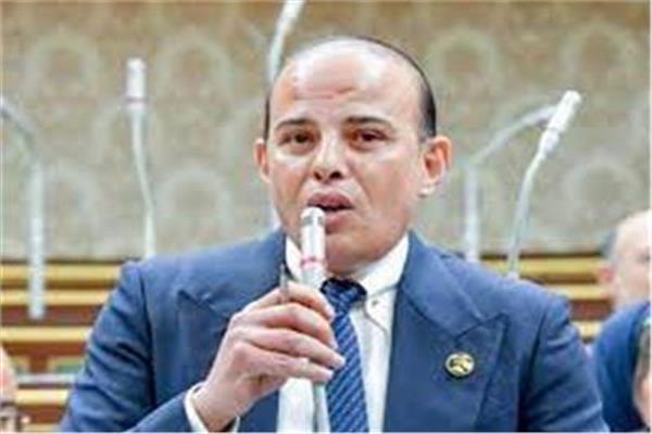 النائب عمرو القطامي