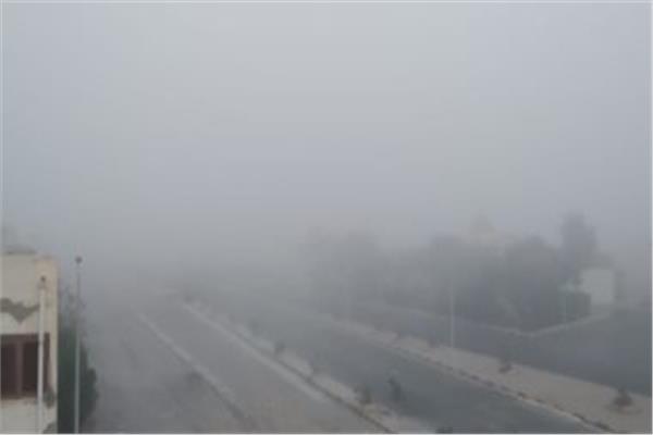صورة موضوعية