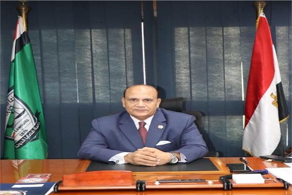 المستشار محمد حسن
