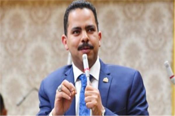المهندس أشرف رشاد زعيم الأغلبية بمجلس النواب