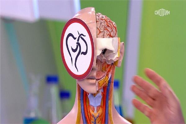 أمراض العيون تكشف وجود طفيليات