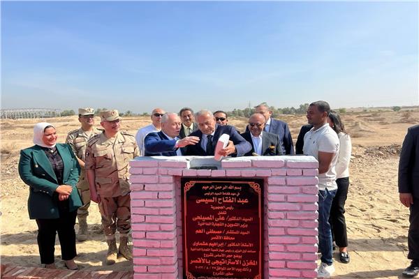 صورة موضوعية