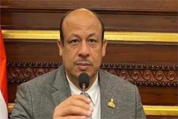 المهندس سمير البيومي عضو مجلس الشيوخ 