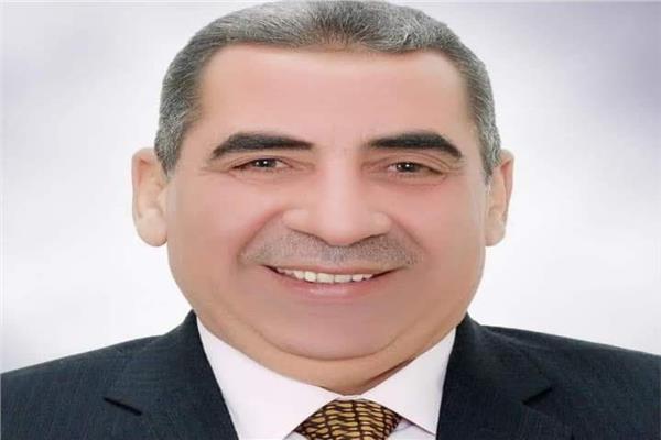  الدكتور فايز الضباعني رئيس مصلحة الضرائب المصرية