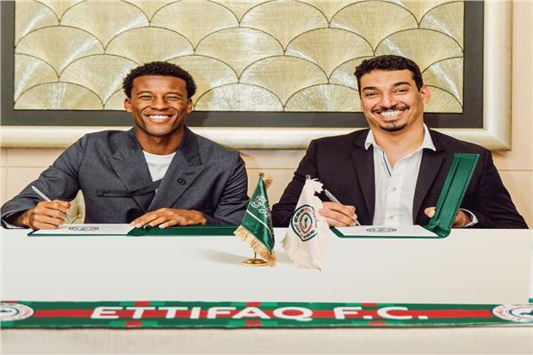 فينالدوم 