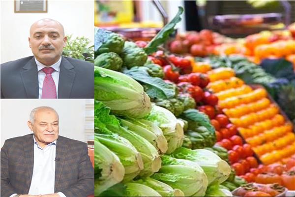 د.عبد العزيز السيد - حاتم النجيب