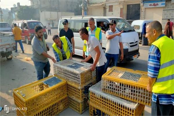 مديرية التموين بالبحيرة 
