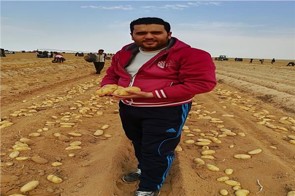 صورة موضوعية 