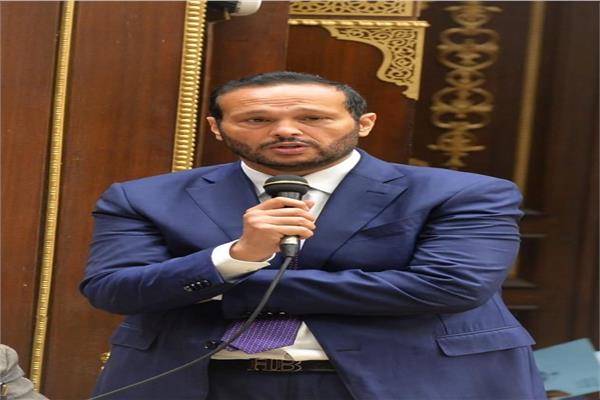  محمد حلاوة رئيس لجنة الصناعة والتجارة بمجلس الشيوخ
