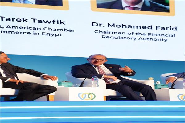 الدكتور محمد فريد رئيس الهيئة العامة للرقابة المالية