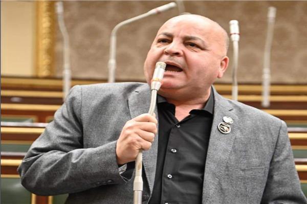 النائب أسامة الأشموني