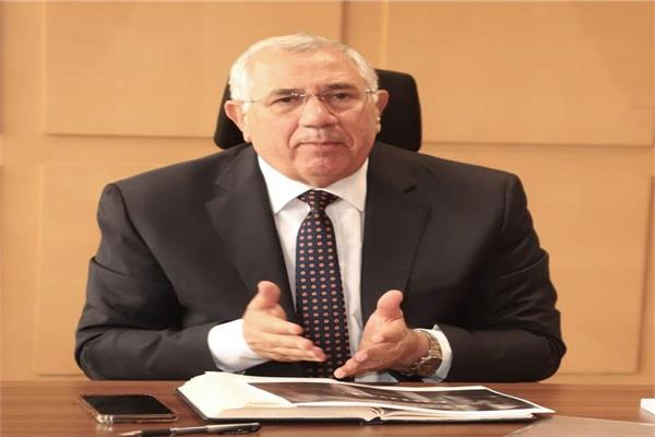 السيد القصير 